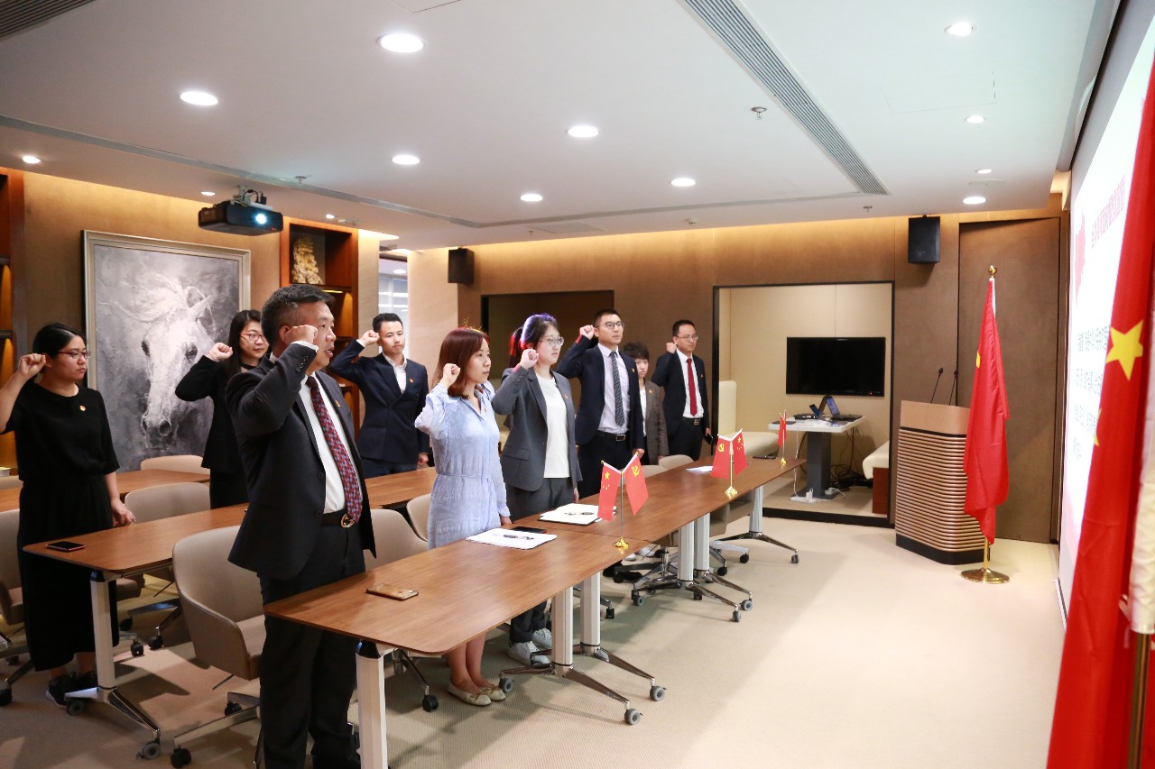 道可特党支部开展“我是律师，更是党员”双宣誓活动现场掠影