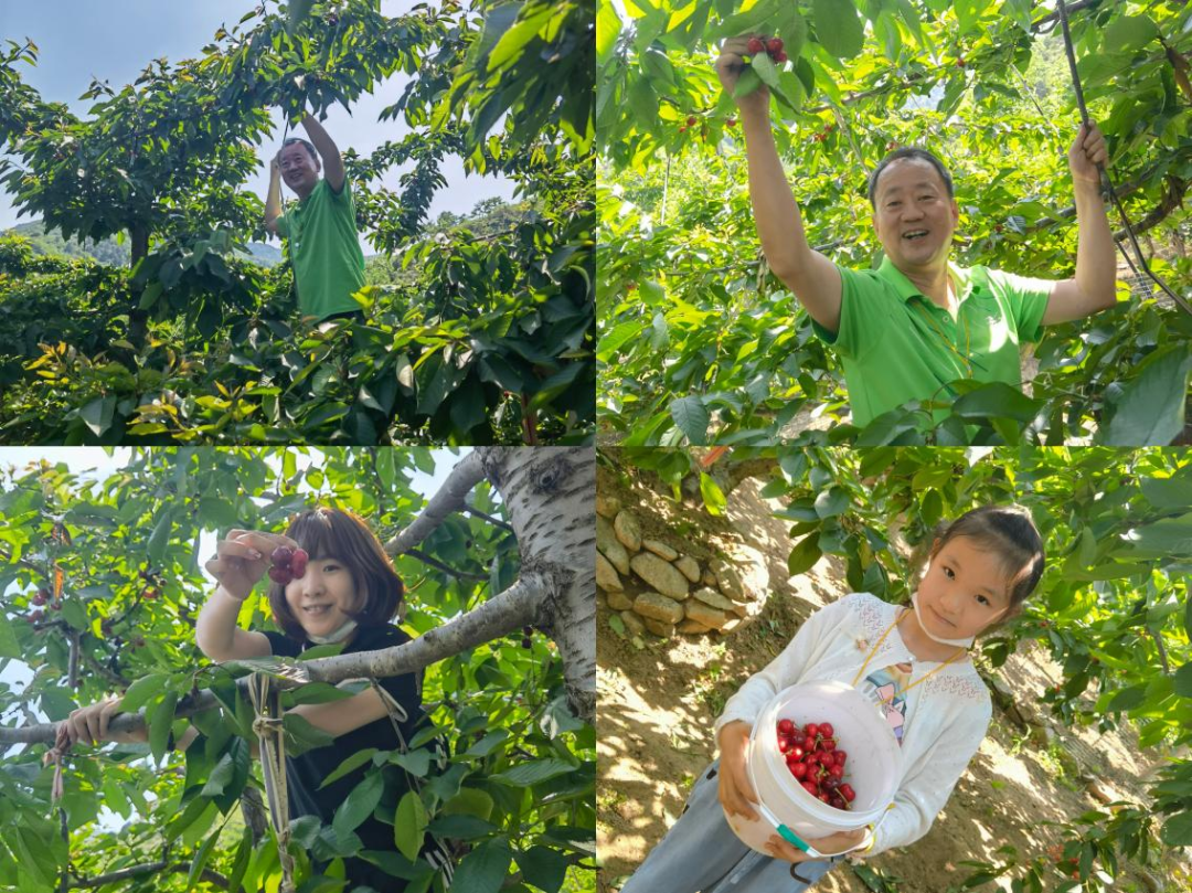 “律”野仙踪——道可特济南办公室夺宝奇兵PK赛