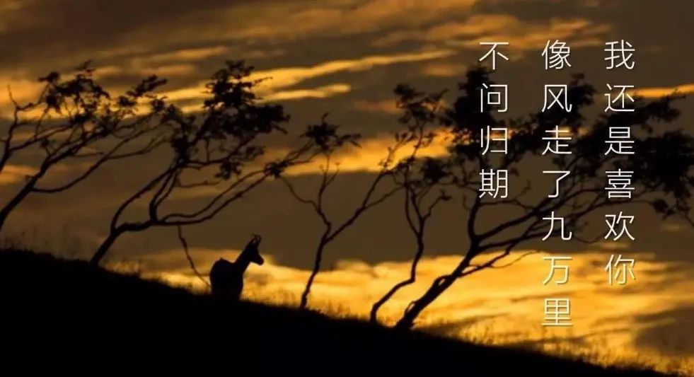 同道故事 | 我还是很喜欢你——道可特