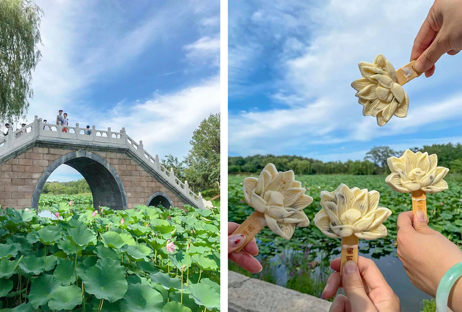 道可特合伙人生活会携手乐律俱乐部圆明园清凉赏荷之旅掠影 道可特合伙人生活会携手乐律俱乐部圆明园清凉赏荷之旅掠影