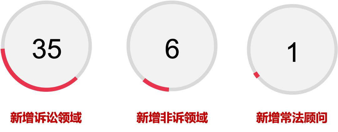 道可特深圳办公室刑事业务团队业绩