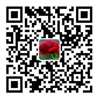 北京市道可特律师事务所律师李宏