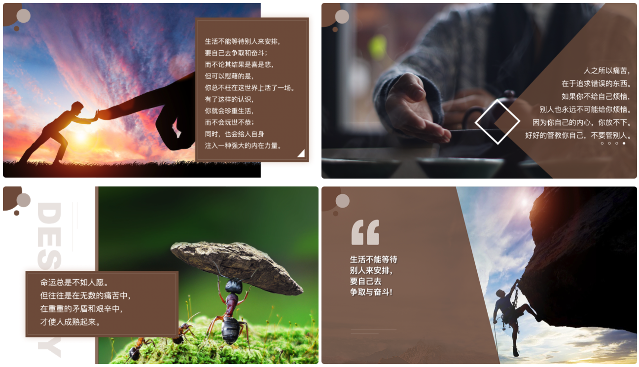 桐道·读书会（二十三）：道可特律师分享《平凡的世界》