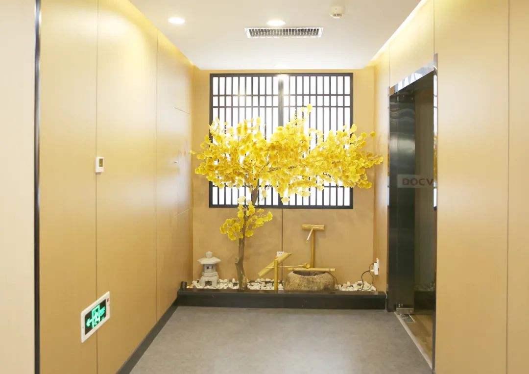 北京市道可特（太原）律师事务所银杏树