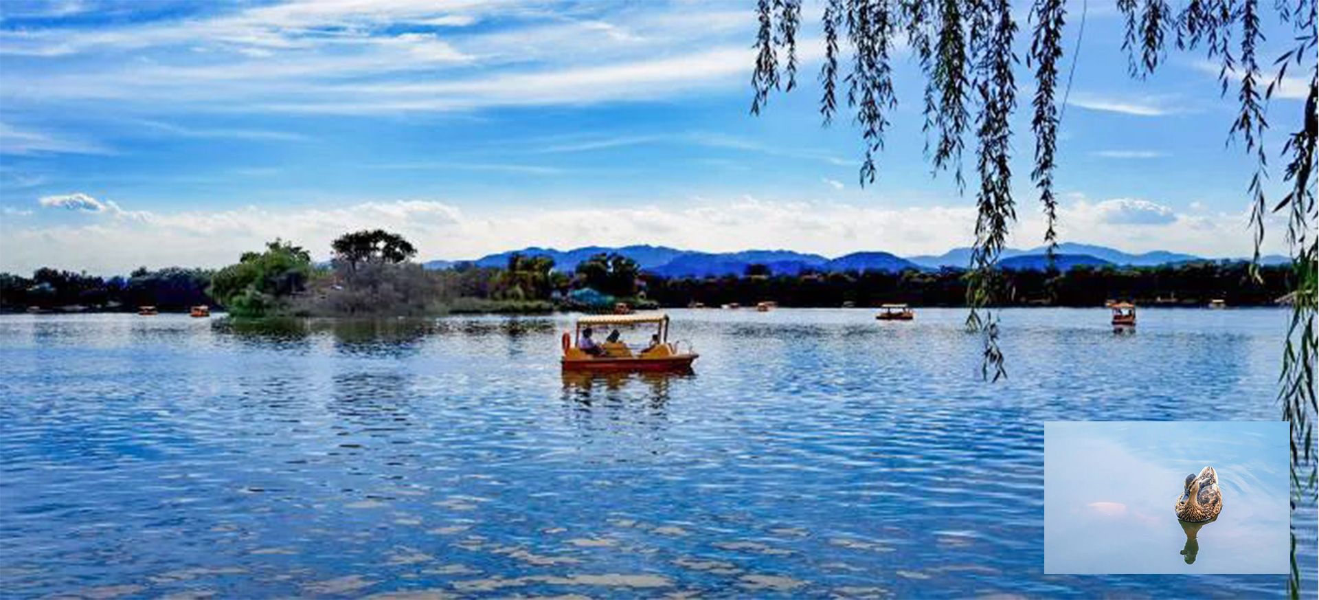 道可特合伙人生活会携手乐律俱乐部圆明园清凉赏荷之旅掠影 道可特合伙人生活会携手乐律俱乐部圆明园清凉赏荷之旅掠影