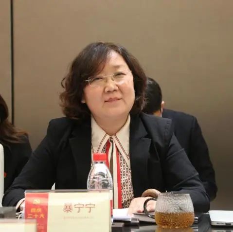 道可特北京办公室高级合伙人、监事会主席暴宁宁