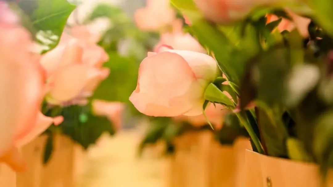 道可特咖啡日第二期-插花掠影