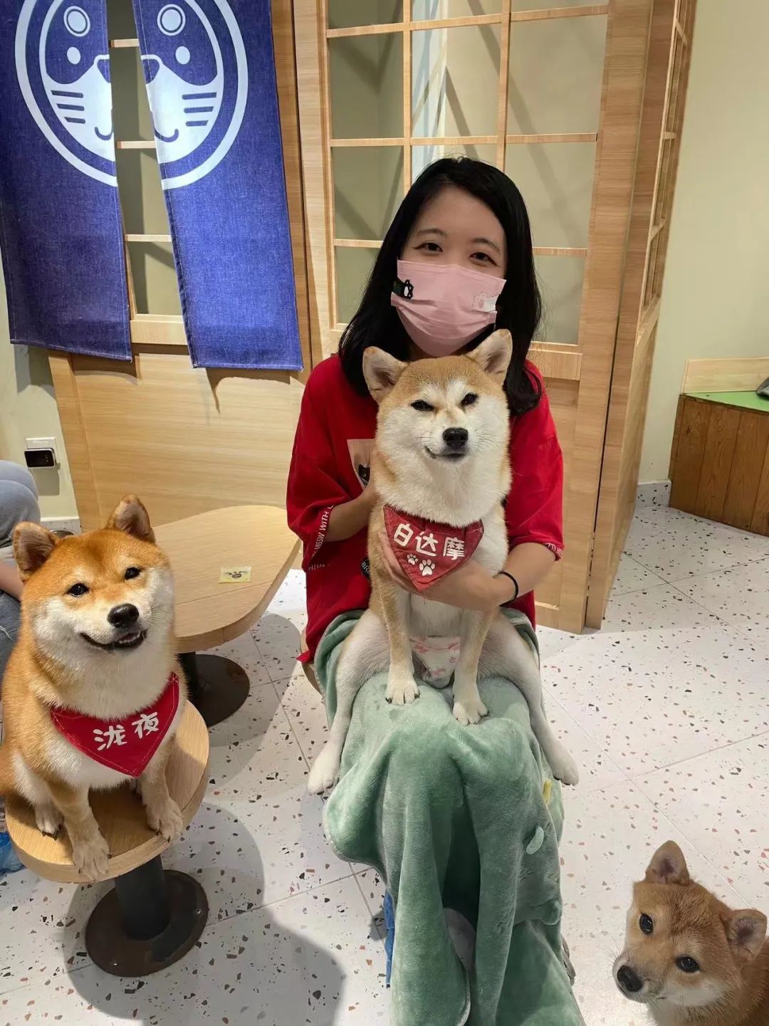 北京市道可特律师事务所合伙人栾佳