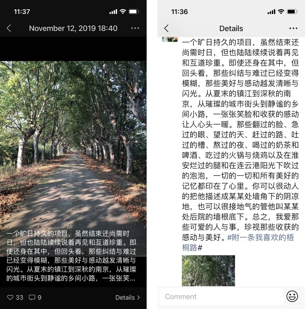 同道故事 | 热爱漫无边际，生活自有分寸——在道可特的自由旅程
