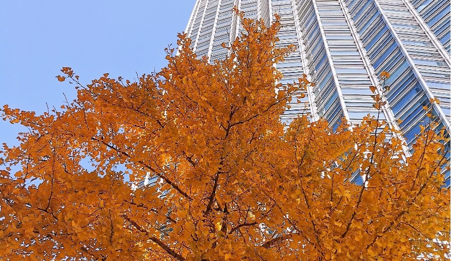 同道故事 | 我还是很喜欢你——道可特